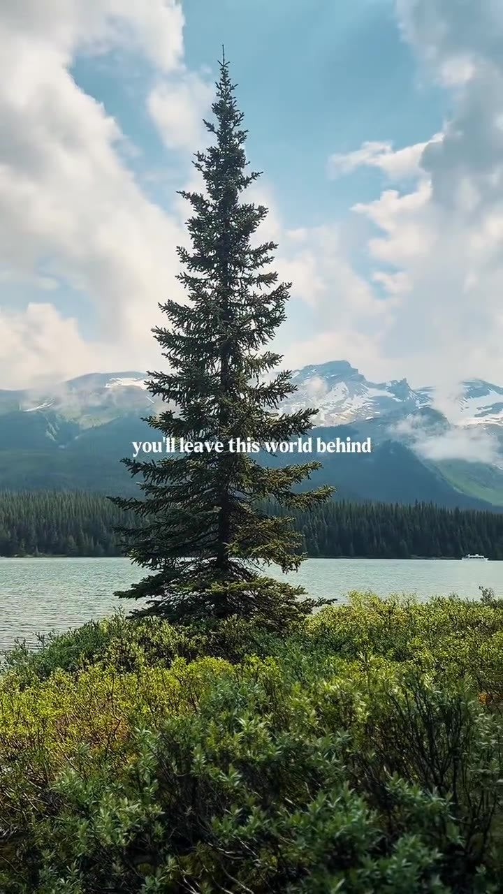 A lone pine tree beside a mountain lake with the words you'll leave this world behind