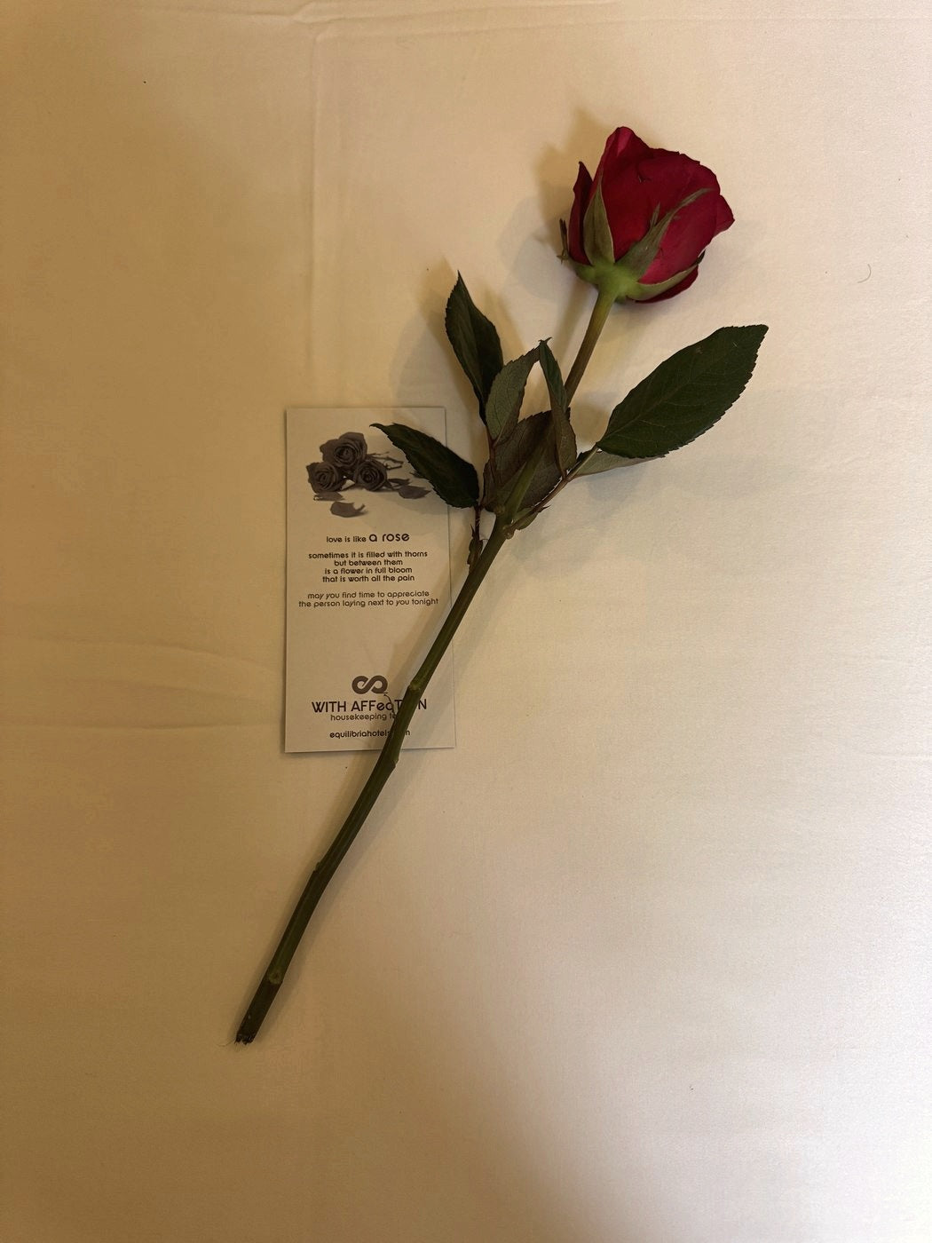 A single red rose beside a handwritten poem card reading love is like a rose