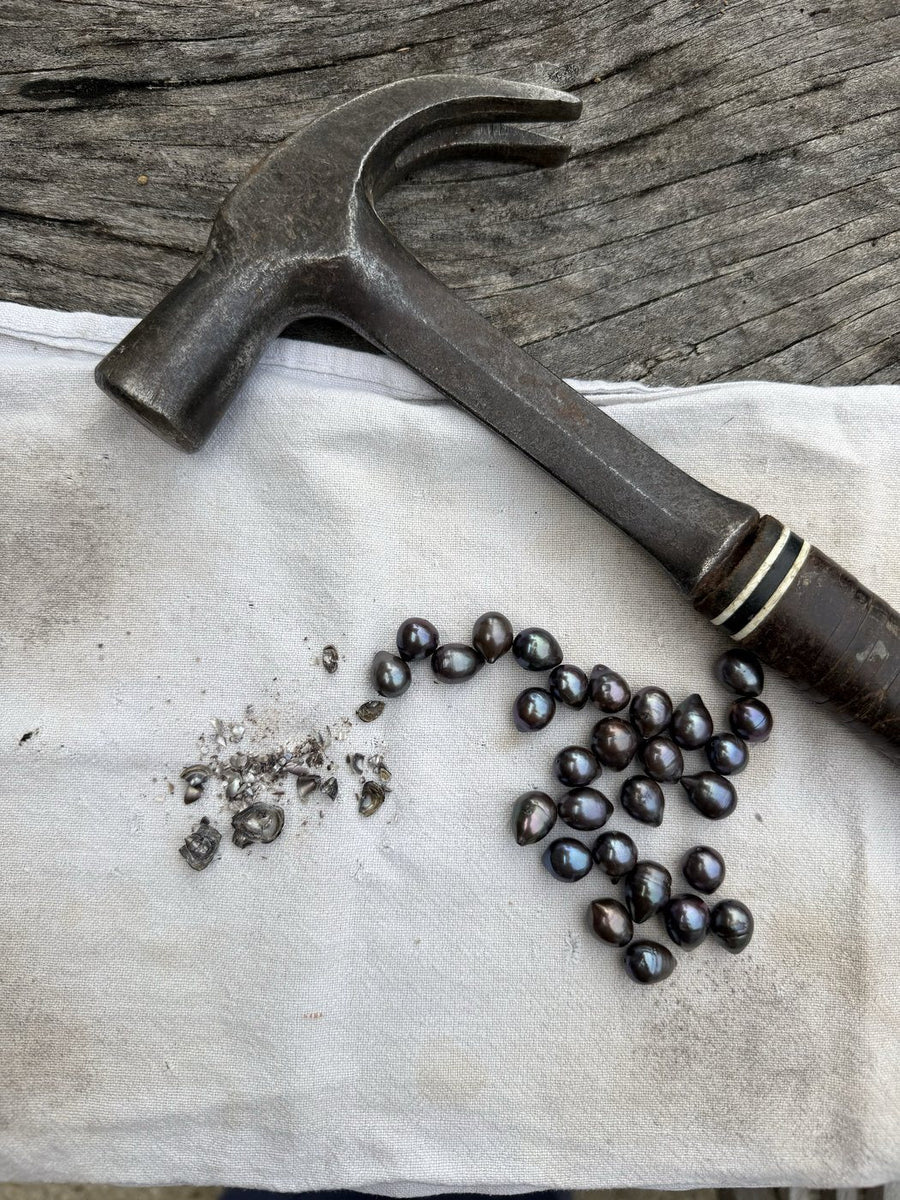 A hammer beside cracked Tahitian pearl shells and loose pearls on a linen cloth